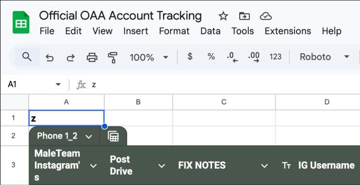 Learning: Understanding The OAA Sheet