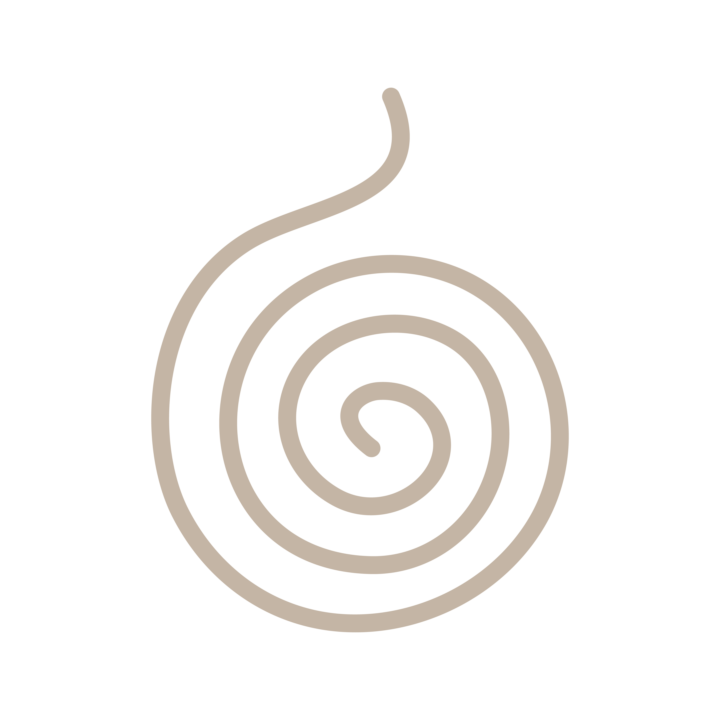 Shaman course, Session 1