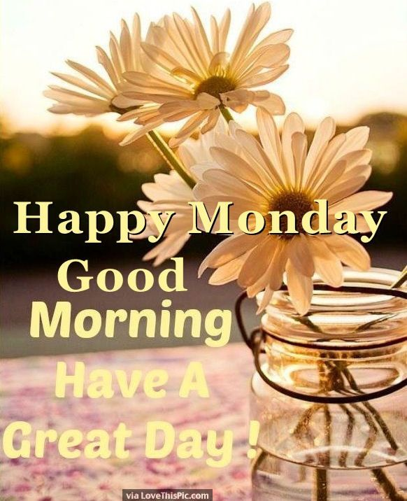 Good Morning and Happy Monday! 🌞