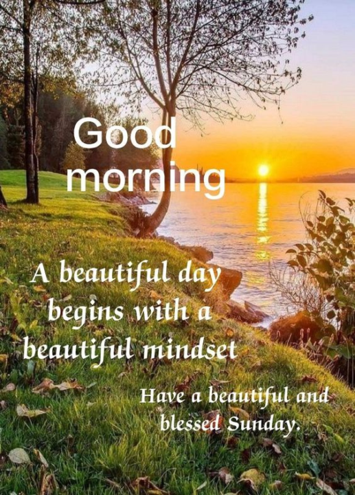 Good Morning, Radiant Souls! 🌻