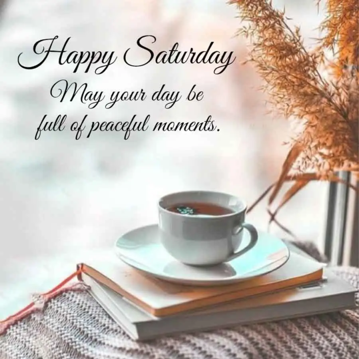 🌞🌸 Good Afternoon, Beautiful Souls!