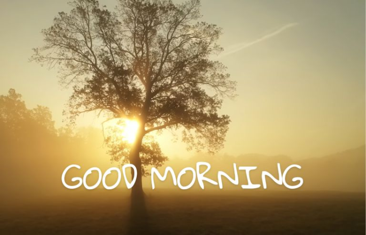 Good Morning, Family! ☀️
