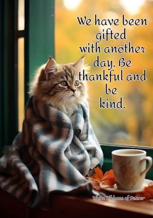 Good Morning, Brilliant Spirits! Happy Friday! 😊