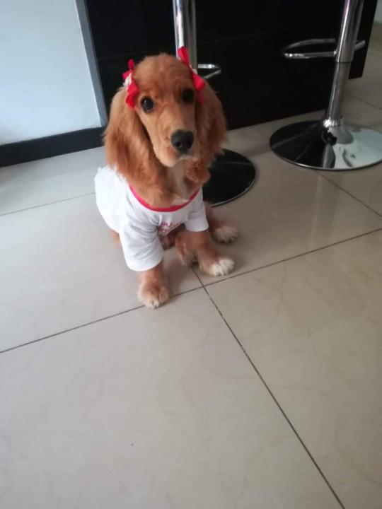 Yizela Paola Navarro díaz