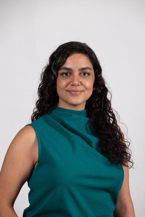 Dorrin Taghdisi