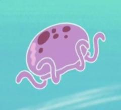 Jellie Vis