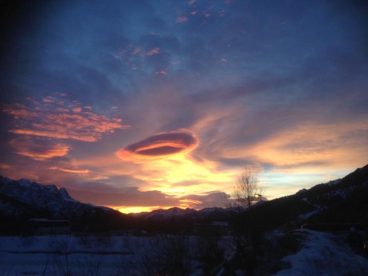 גלית טננבאום