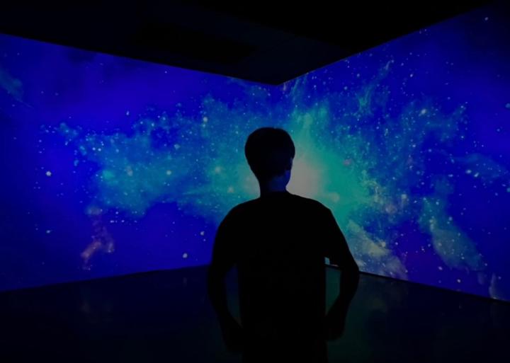 Bird Ai Booster Dech