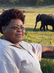 Cecilia Stella Makoni
