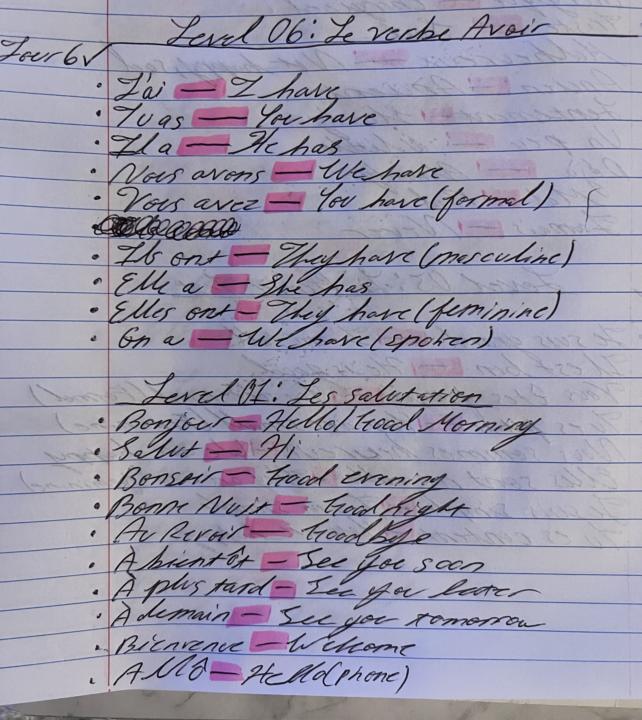 J’ai decided to complete deux leçons un jour