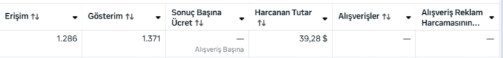 Meta Ads Analiz