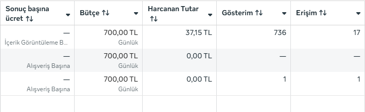 PİXEL DÖNÜŞÜM OLAYI