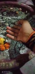 Shekhar Kumar