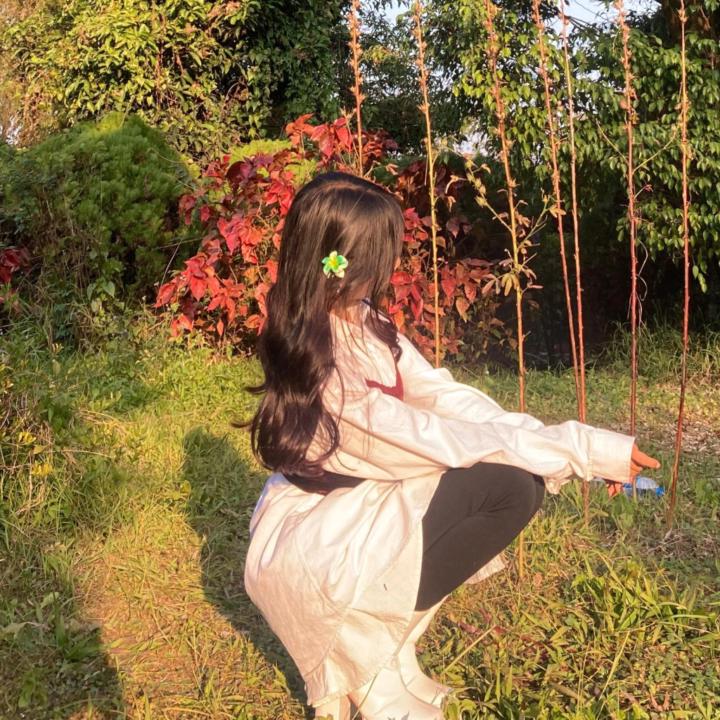 Shimmy Kshetrimayum