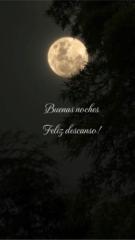 Angelica Maria Guerrero Coello