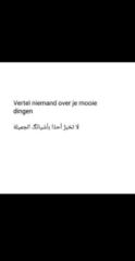 Mohamed Zaryouh