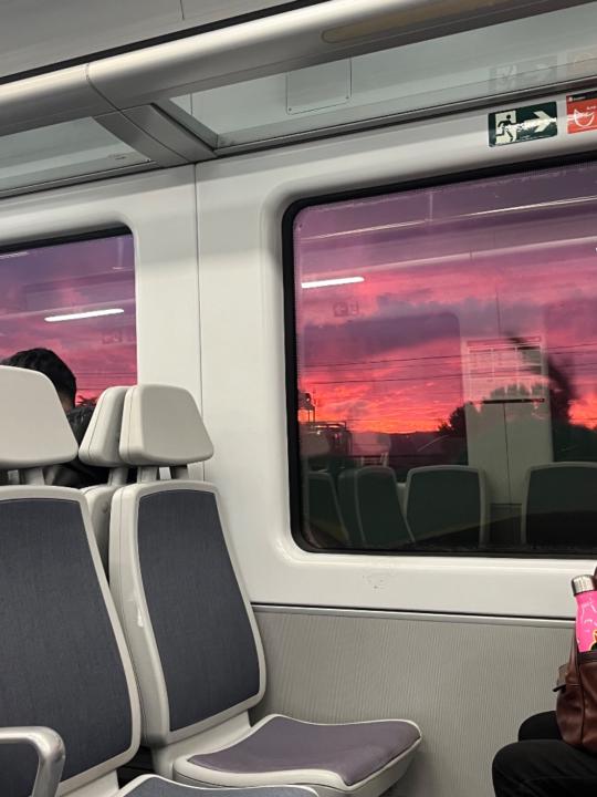 Luis Narvaez Narváez