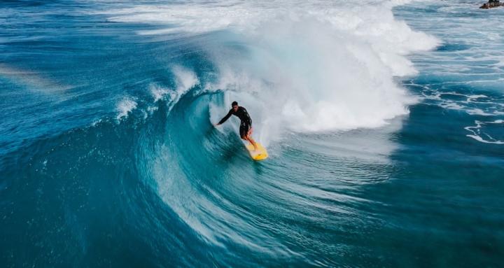 Surfing Entrepreneur 