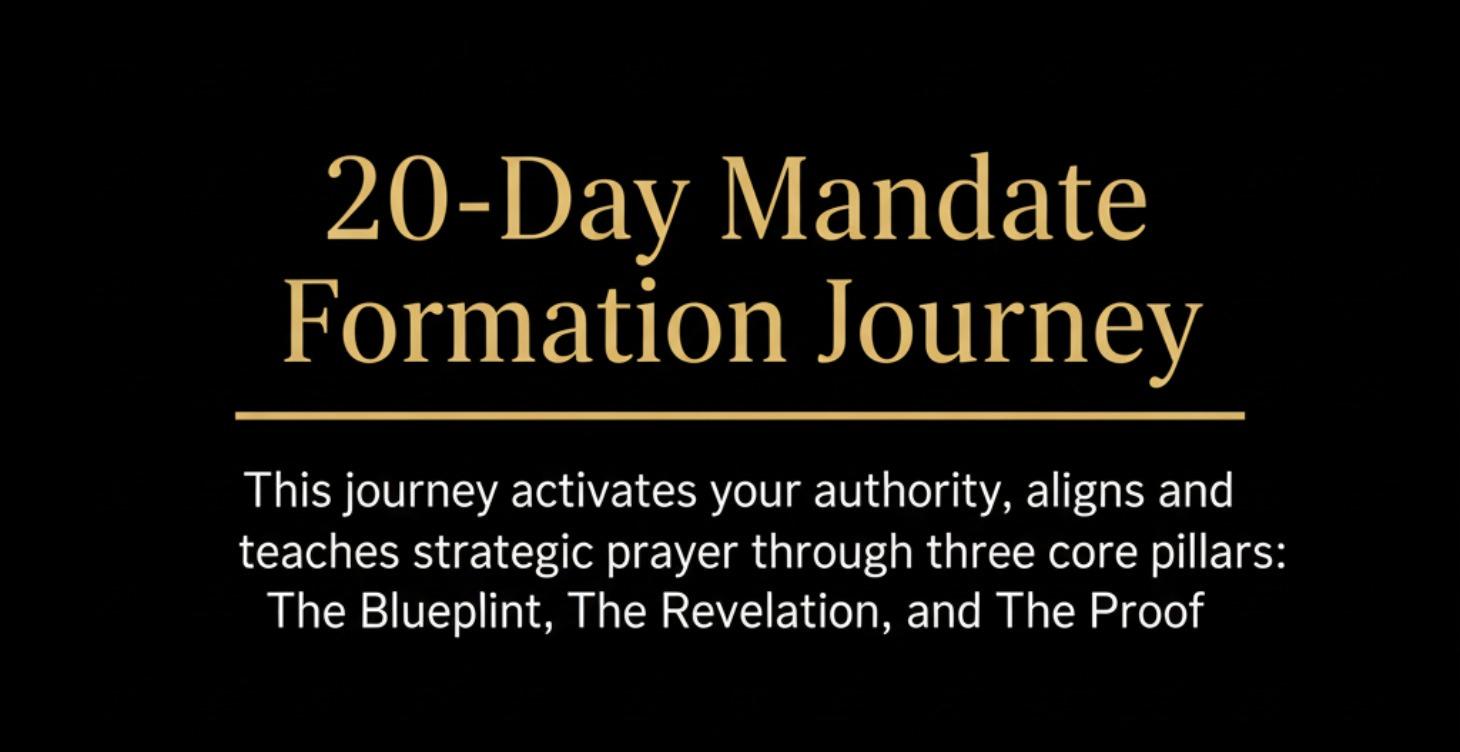 20-Day Mandate Formation Journey