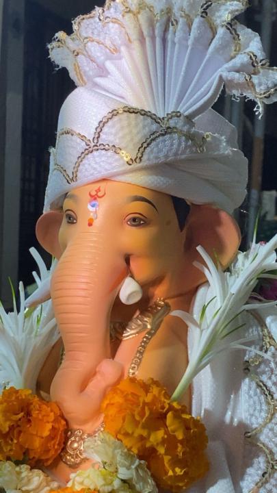 Mehul Prajapati