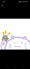 自由 喵金