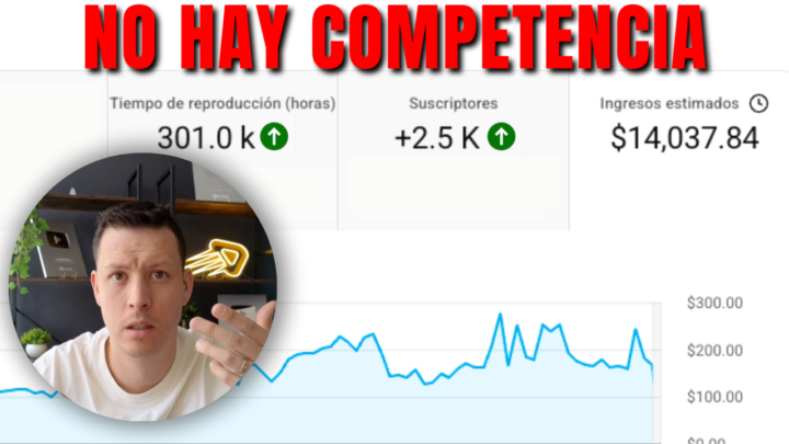 Nuevo Video: 10 nichos rentables con poca competencia
