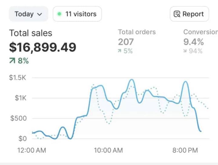 Here's how i generated $21,000+ In a Month Profit.