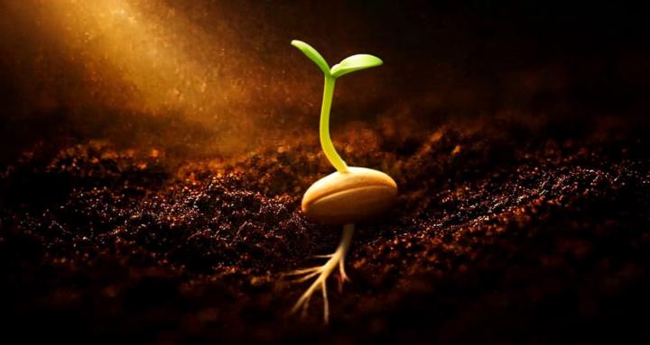 Awaken and Thrive with Earline