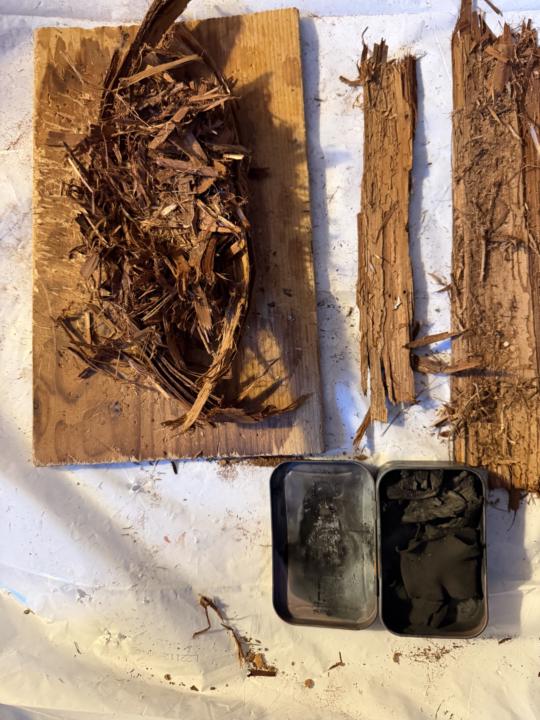 Feb. Skills Challenge: Natural Tinder