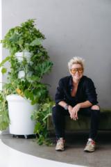 Prue Bauer