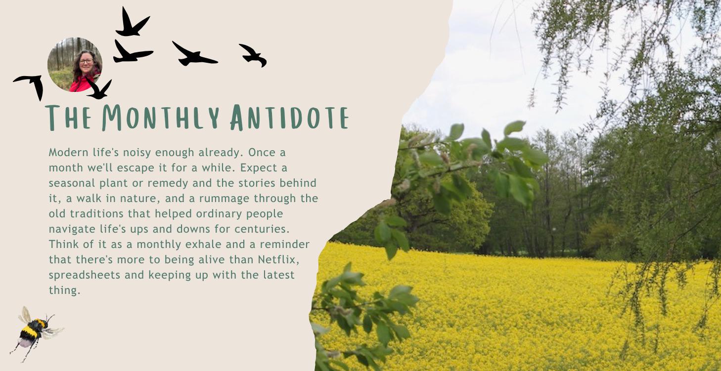 The Monthly Antidote