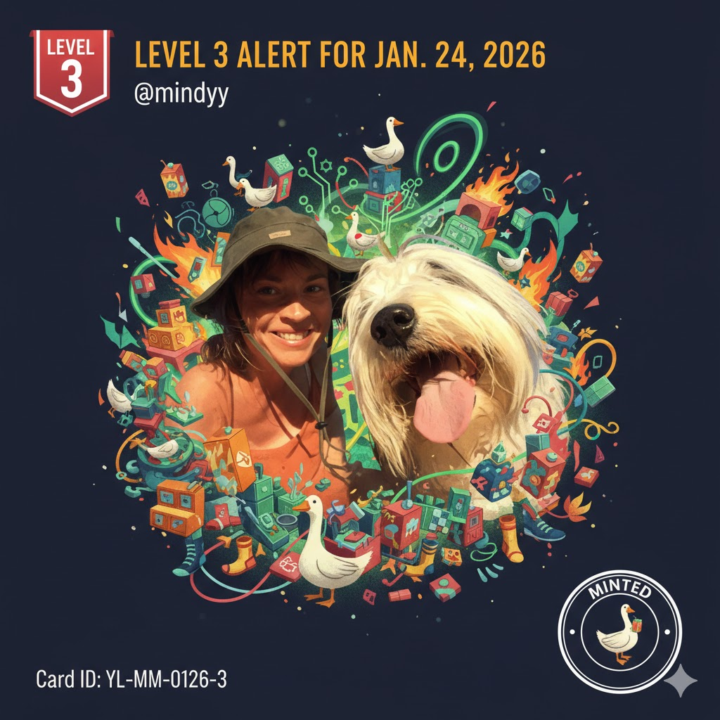 Level 3 - Mindy Molein