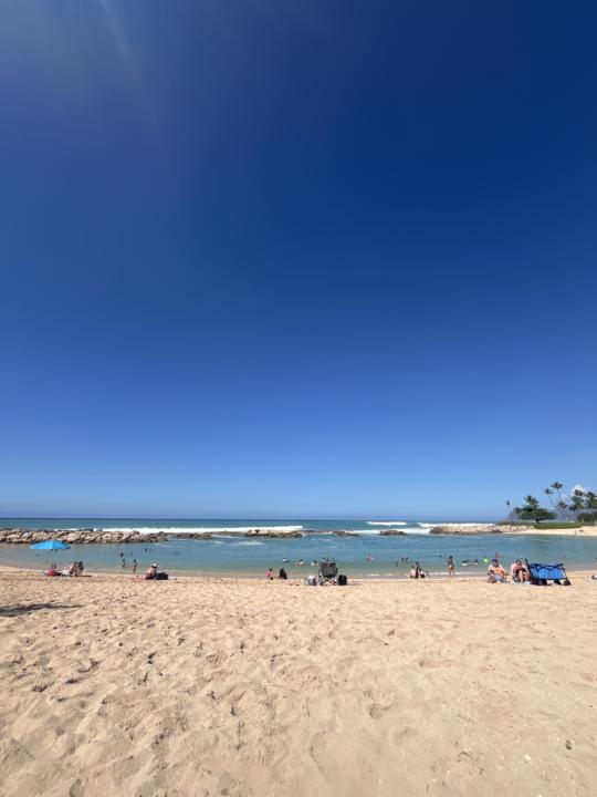 Lemme see what you see!