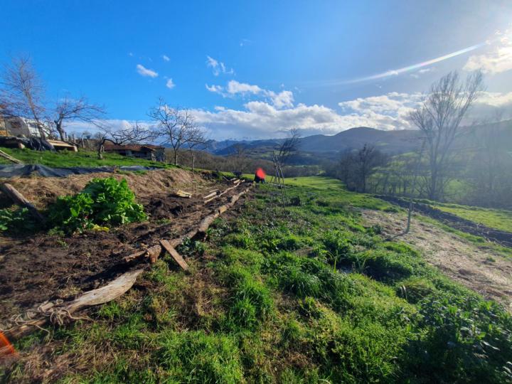 Gemüsebeete vorbereiten