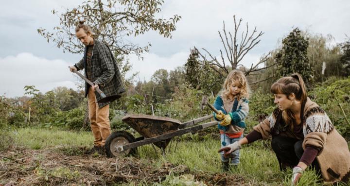 Dein Permakultur Paradies