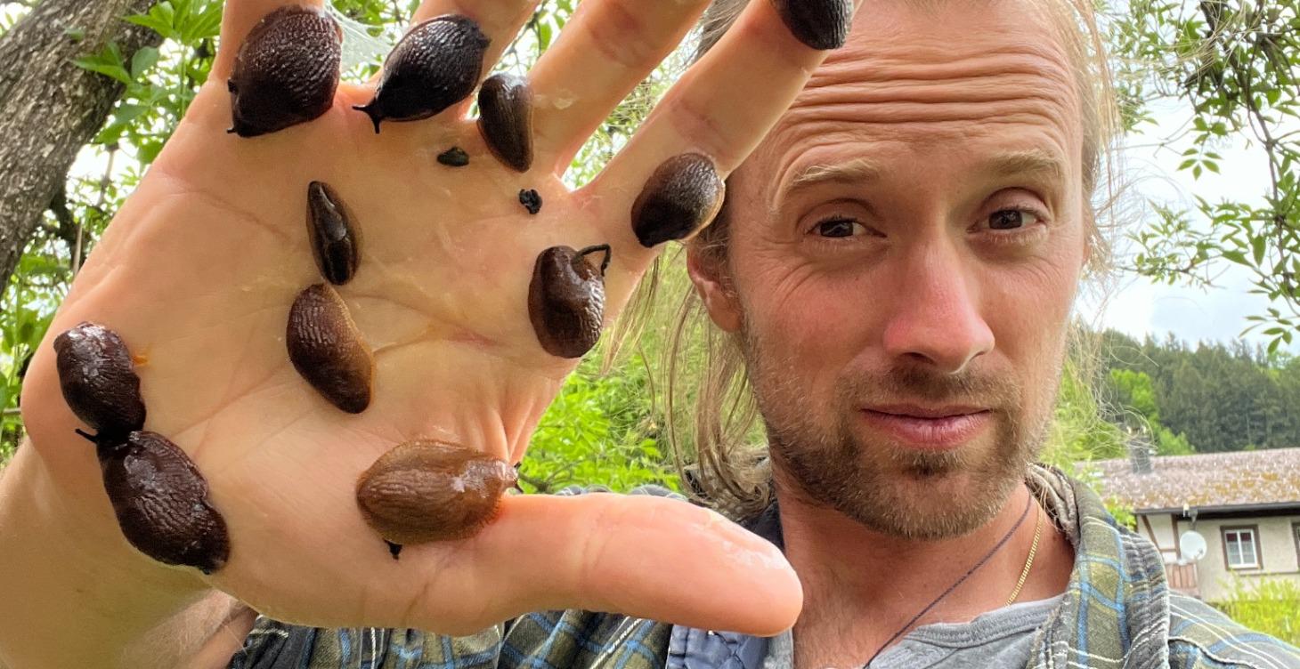 Schnecken Party im Garten