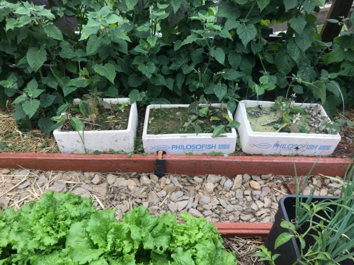 Herzlich willkommen liebe Gartenmenschen