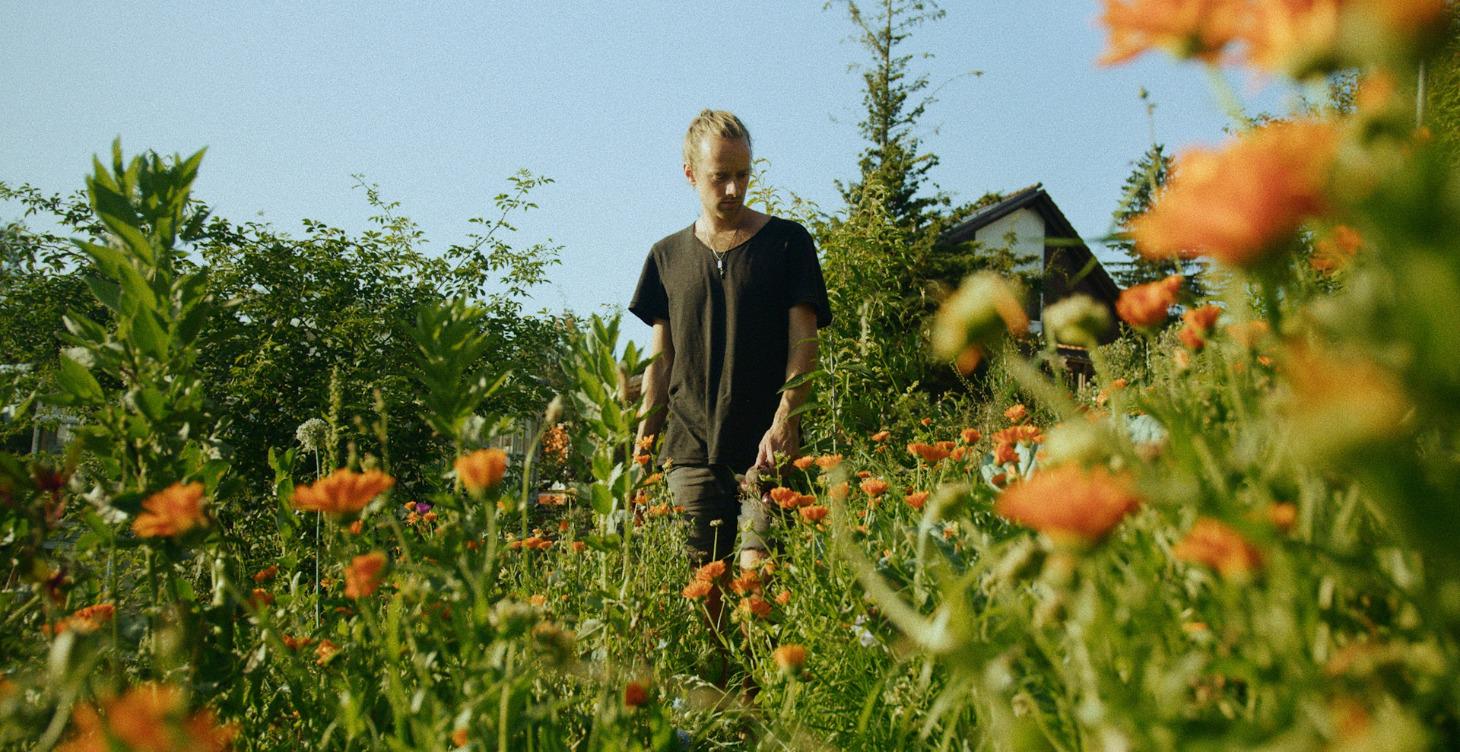 Die 12 Prinzipien der Permakultur