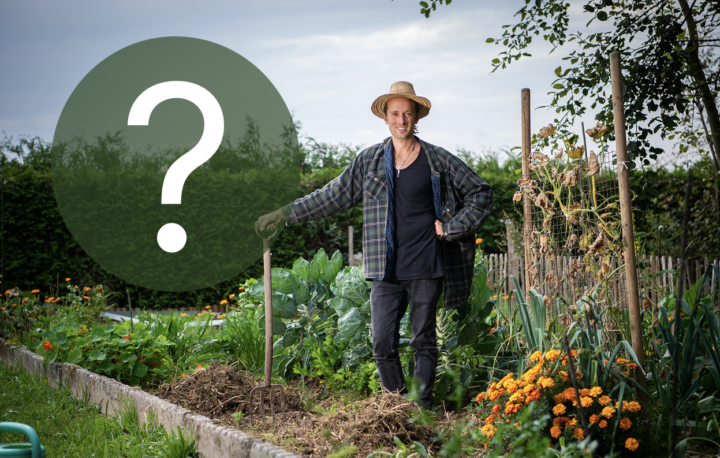 Garten Q&A Session mit Lucas - jeden dritten Mittwoch im Monat