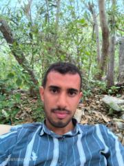 Wad Murad
