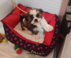 María Ralima Contreras Ochoa