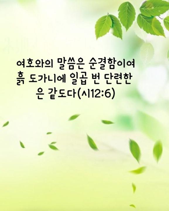 홍 승호