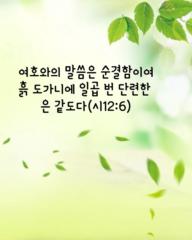 홍 승호