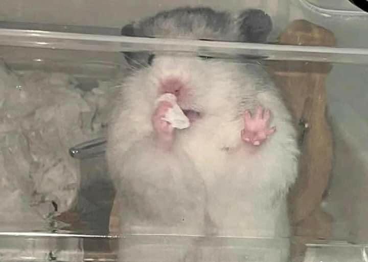 Phương Thảo Nguyễn