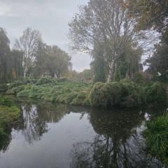 Dylane M