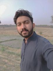 Muhammad Awais Ibrahim