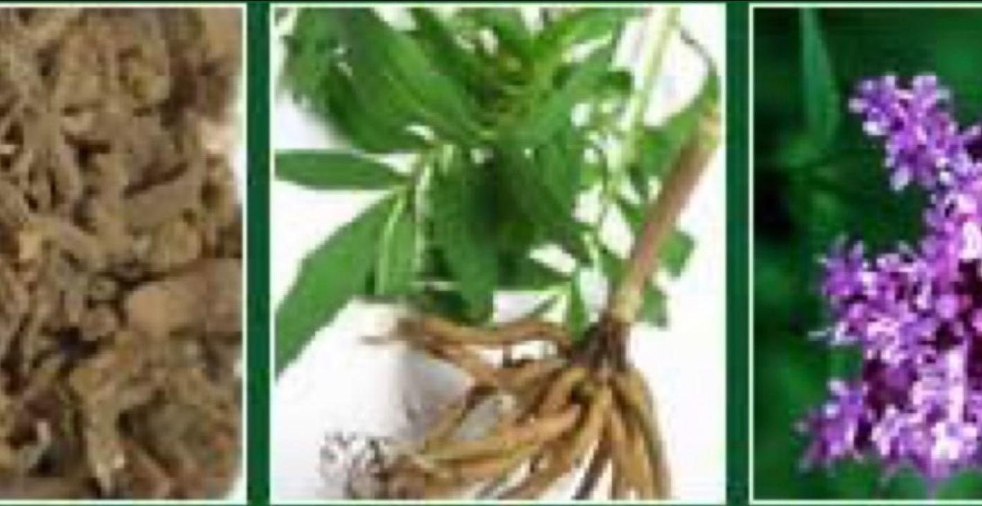 Herbs and uses