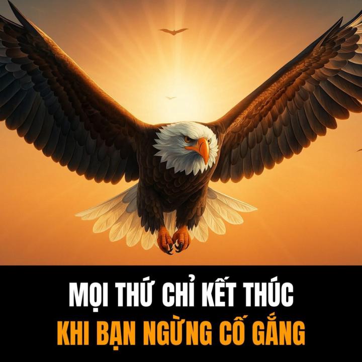 Đừng bỏ cuộc