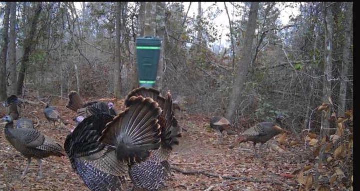 Harris Hunting and fishing