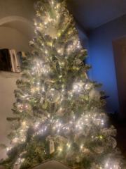 Massimiliano Schettino